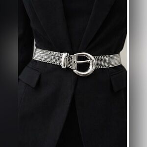 Chic Silver Mesh Belt